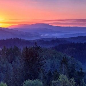 Meet your Posher, Caleb